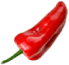 Chili1-1.png